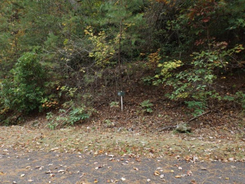 116 Fireside Lane - Photo 1