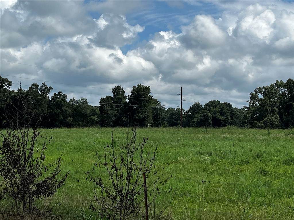 00 Sc Hwy 182 Highway - Photo 1