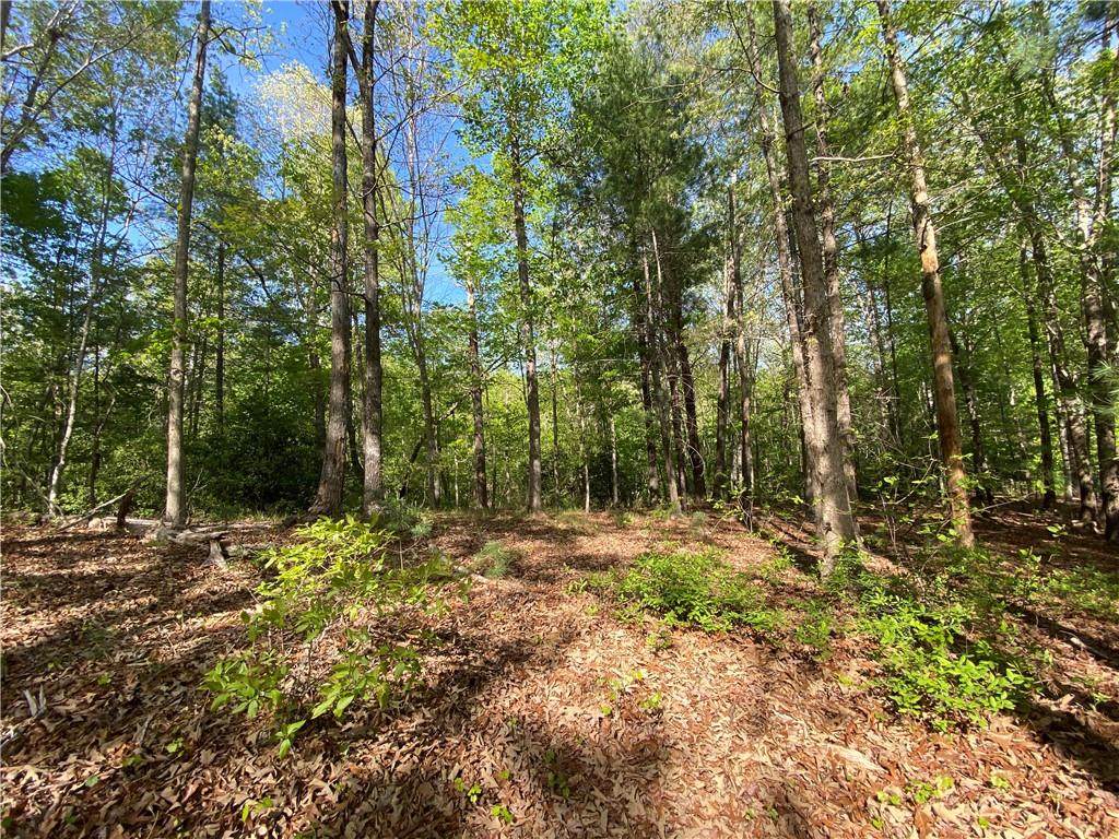 101 Wake Robin Drive - Photo 1