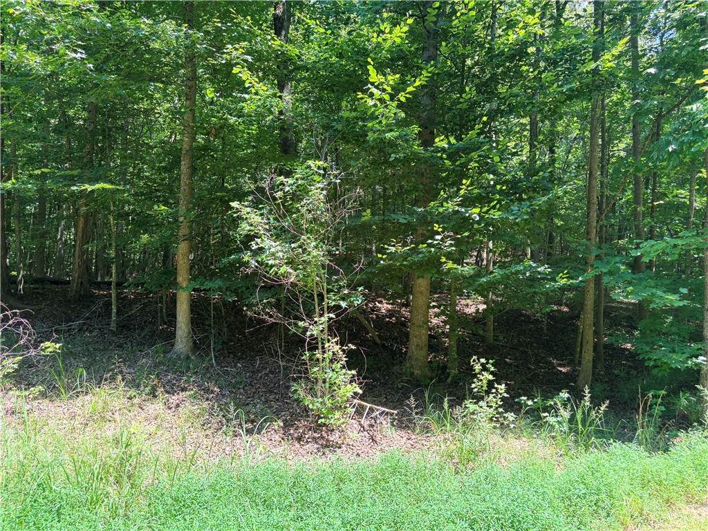 2176 LOT Sundew Drive - Photo 1