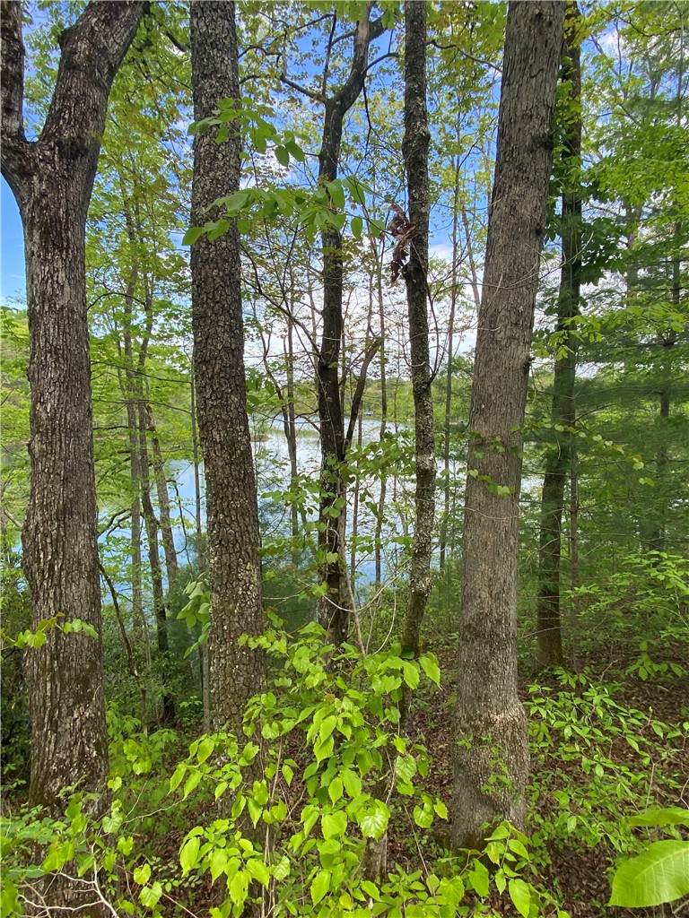 0 Crystal Lake Road - Photo 1