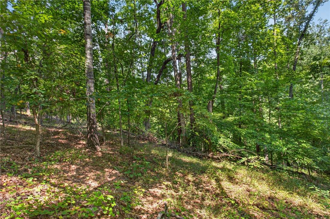 206 Shipmaster Drive - Photo 1