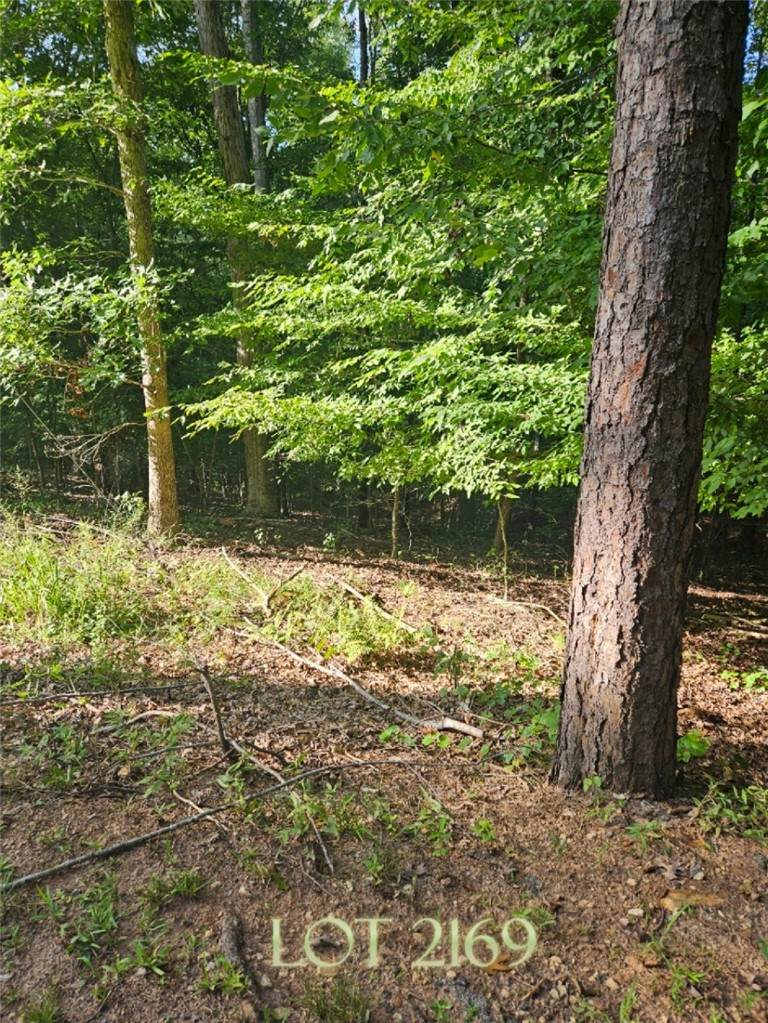 Lot 2169 North Sundew Drive - Photo 1