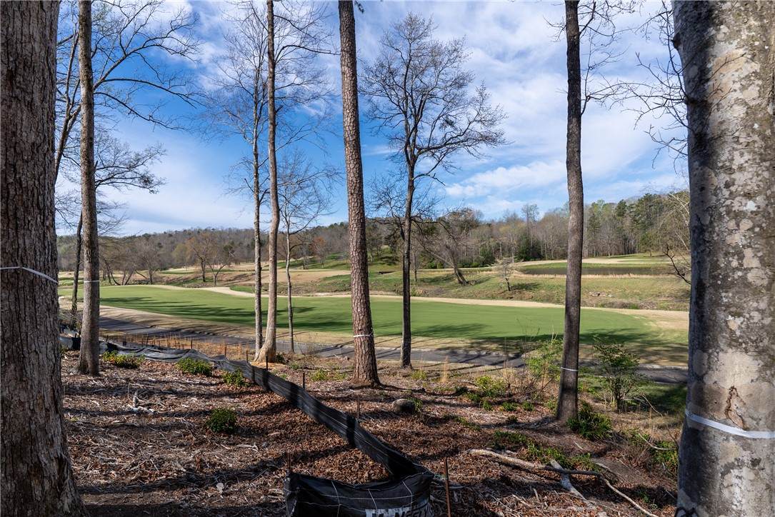 Lot 1 Cliffs South Parkway - Photo 1