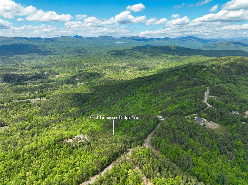 610 Tamassee Ridge Way - Photo 1