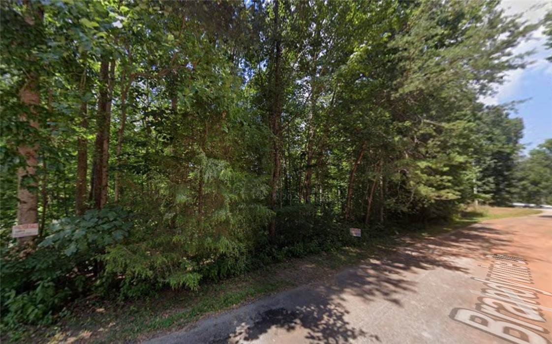 271 Brandywine Drive - Photo 1