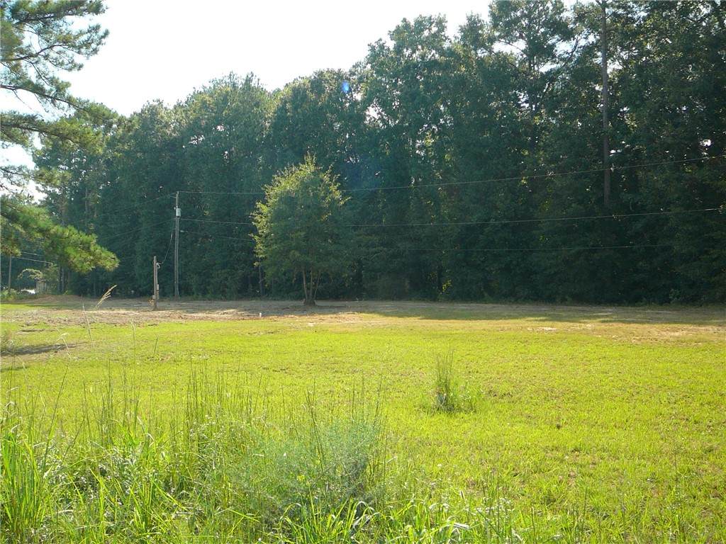 819 Clinkscales Road - Photo 1