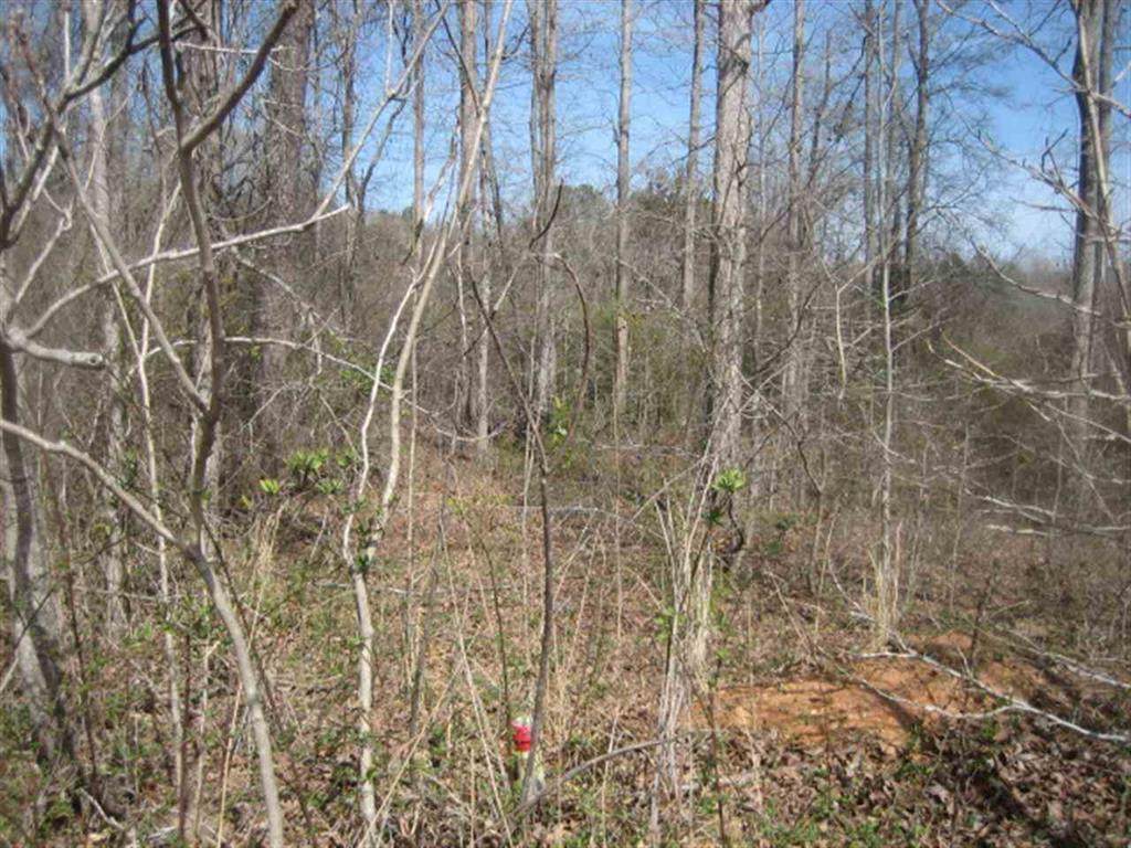 Lot 3 Brookside Drive - Photo 1