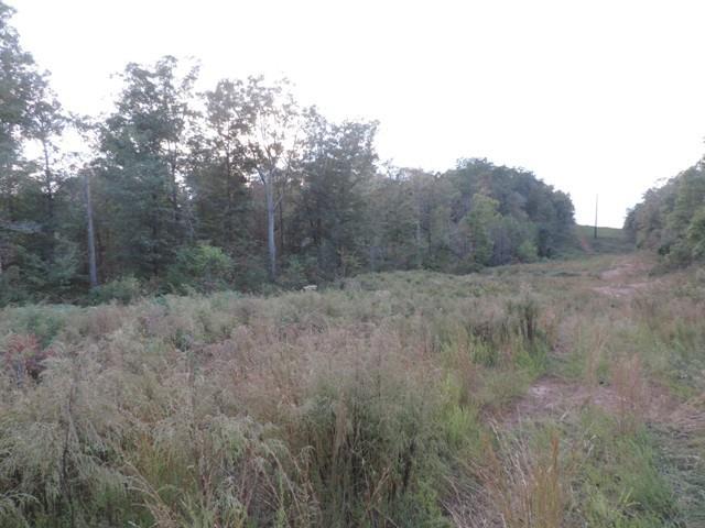 Hwy 59 Tokeena Rd - Photo 1