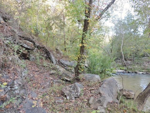 00 Strawberry Farm Rd - Photo 1
