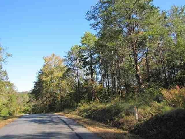 Lot 10 Valley Farm Road - Photo 1