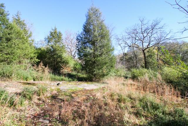 106 Tallulah Terrace, Piedmont, SC 29673 (MLS #20161238) :: Les Walden Real Estate