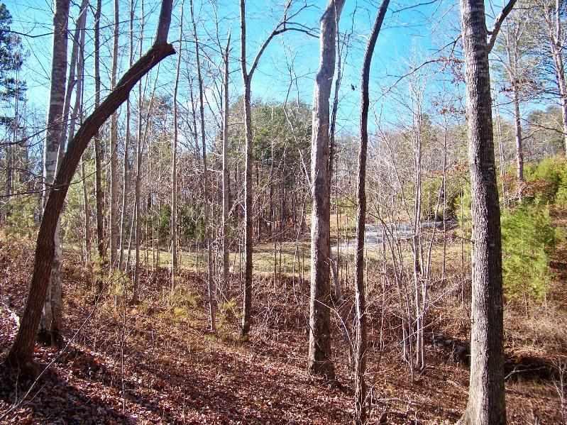 505 Scharlin Drive - Photo 1 505 Scharlin Drive - Photo 1