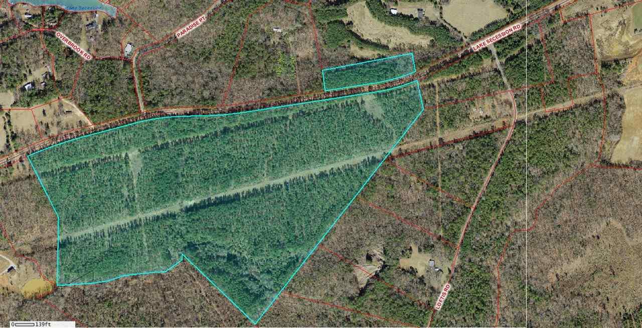 1303 Lake Secession Rd, Abbeville, SC 29620 (MLS #20169603) :: Les Walden Real Estate
