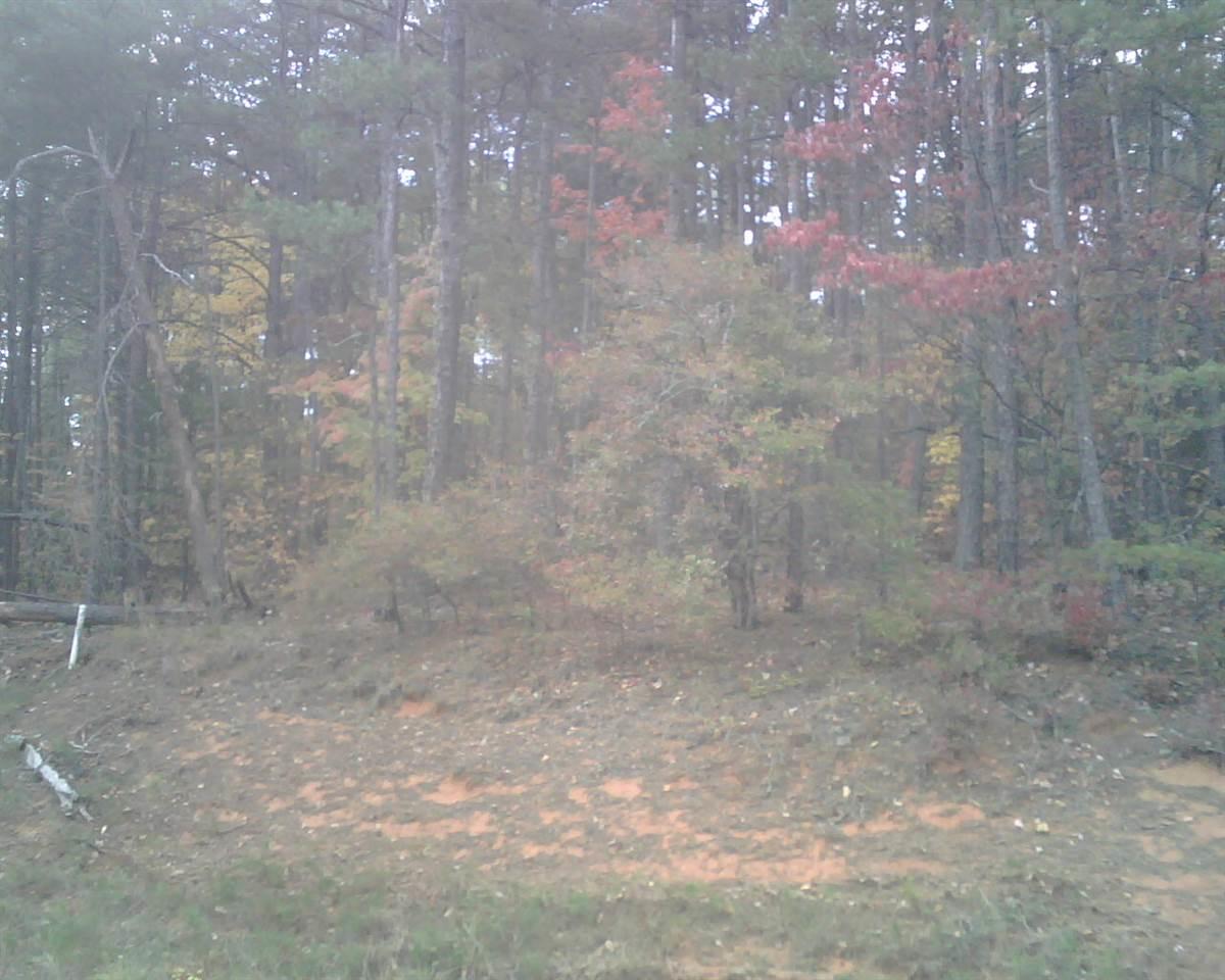418 Holden Drive - Photo 1