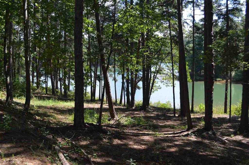 10 Palmetto Pointe Drive - Photo 1