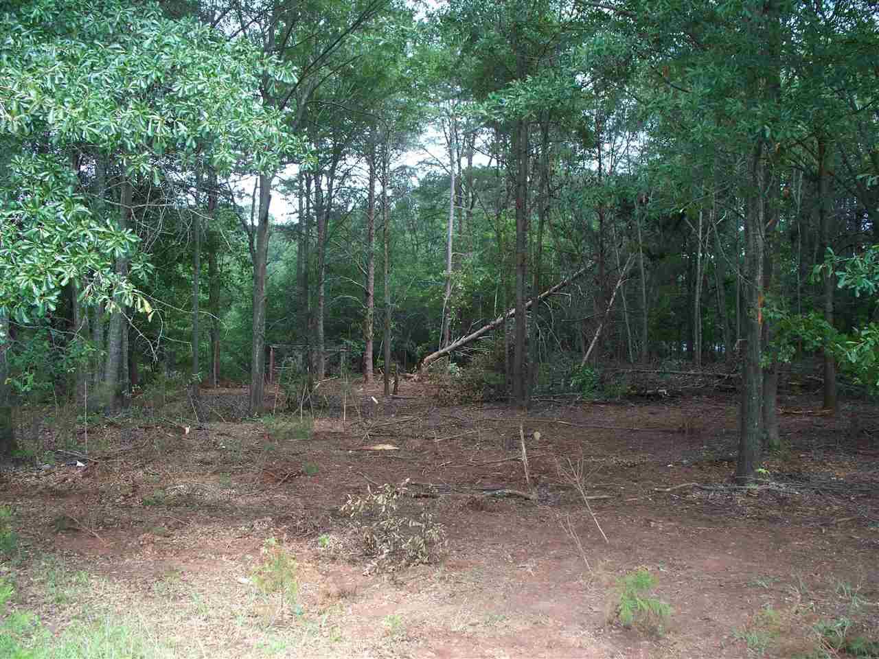 00 E Church Road, Easley, SC 29642 (MLS #20179868) :: Les Walden Real Estate