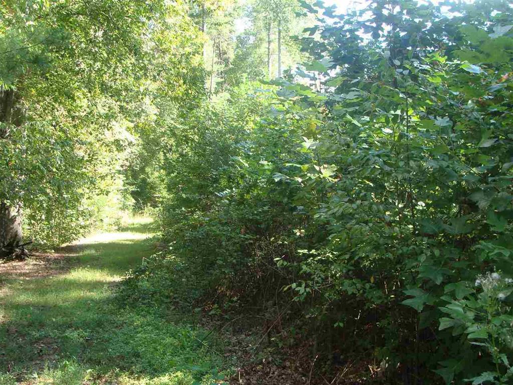 215 Emory Lane & Time Out - Photo 1