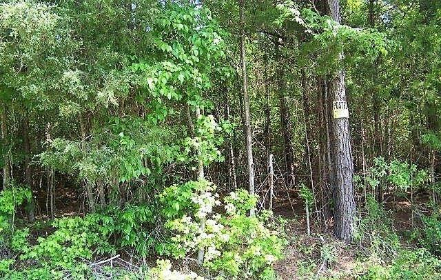 00 Bulls Horne - Photo 1