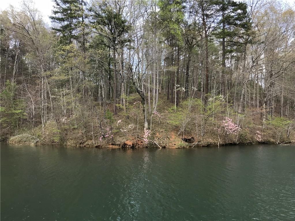 544 Big Creek Way - Photo 1