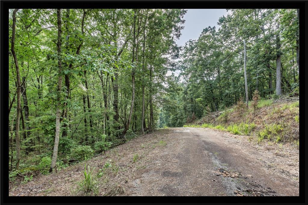 LOT 17 Hartwell Cove Drive - Photo 1