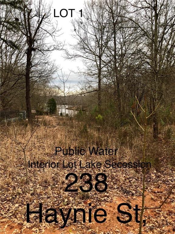 238 Haynie Avenue - Photo 1