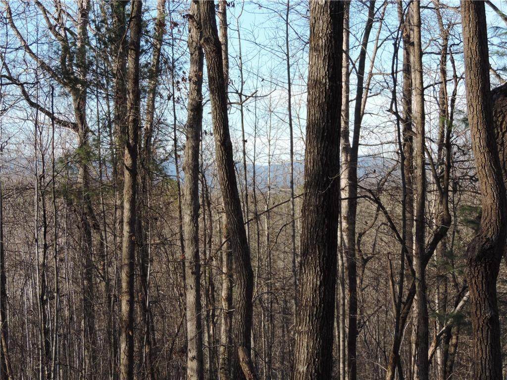 Lot 4 Falcons Nest Road - Photo 1