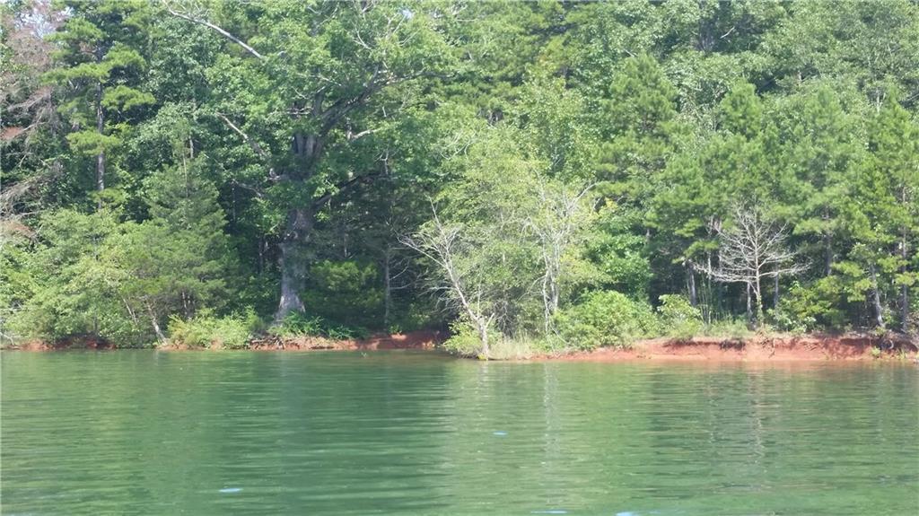 10 Osceola Trail - Photo 1