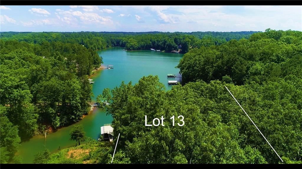 Lot 13 Peninsula Pointe South - Photo 1
