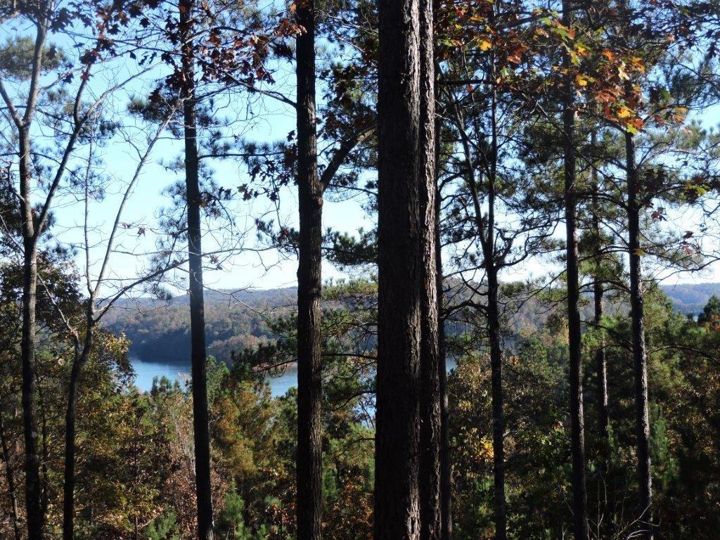 333 Long Cove Trail - Photo 1