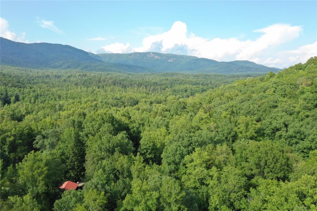 00 River Bluff Road - Photo 1