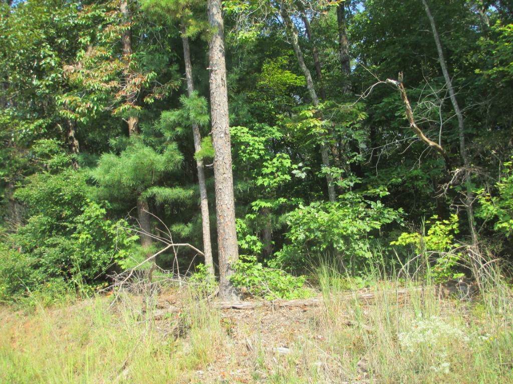 0000 Whitmire Church Road - Photo 1