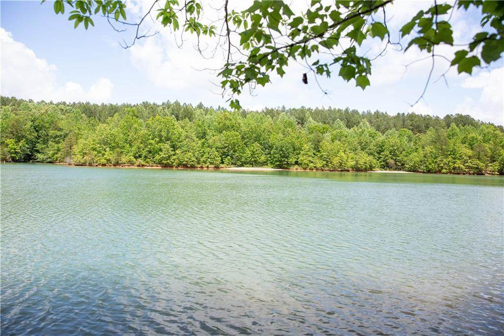 Lot 6 Spring Hollow Bark Shed Trail - Photo 1