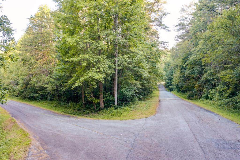 00 Fernwood Drive - Photo 1