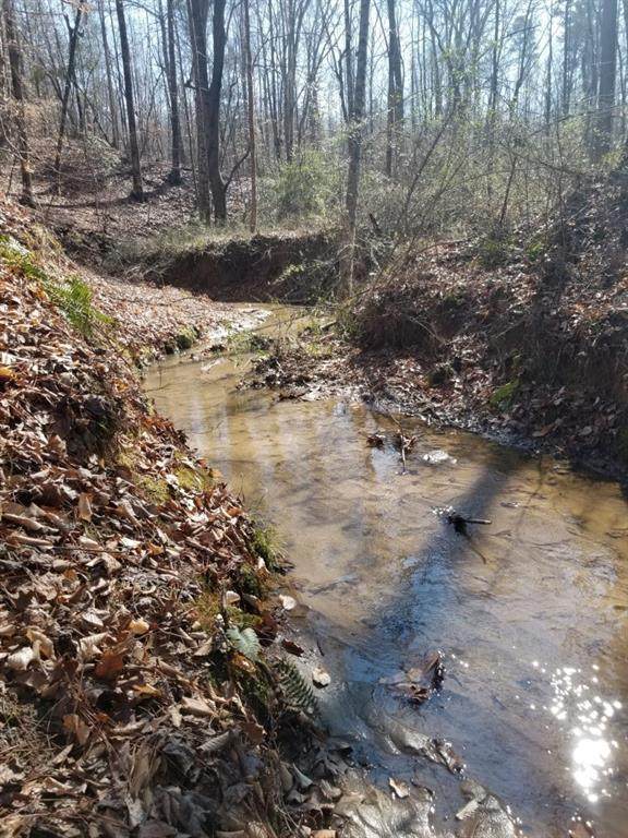 41 Acres Robert Grant Road - Photo 1