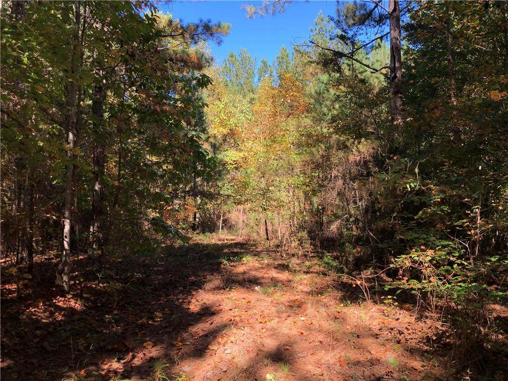 00 Well Mountain Road - Photo 1