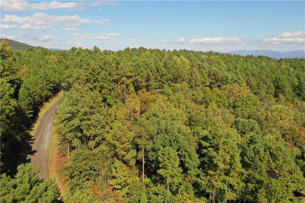 00 Grant Mill Road - Photo 1