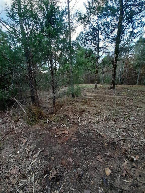 Lot F Terrapin Pointe Road - Photo 1