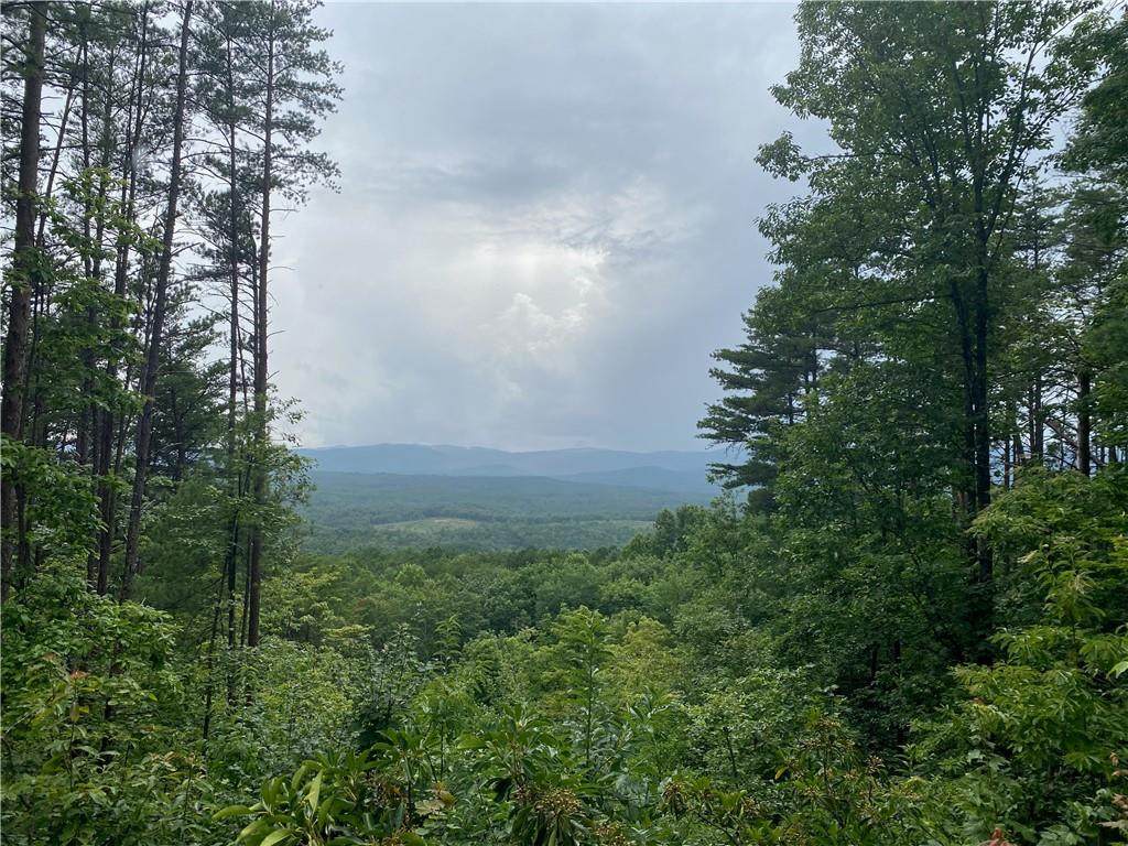267 Jocassee Ridge - Photo 1