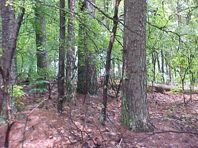 S-28 Tamassee Ridge Way - Photo 1
