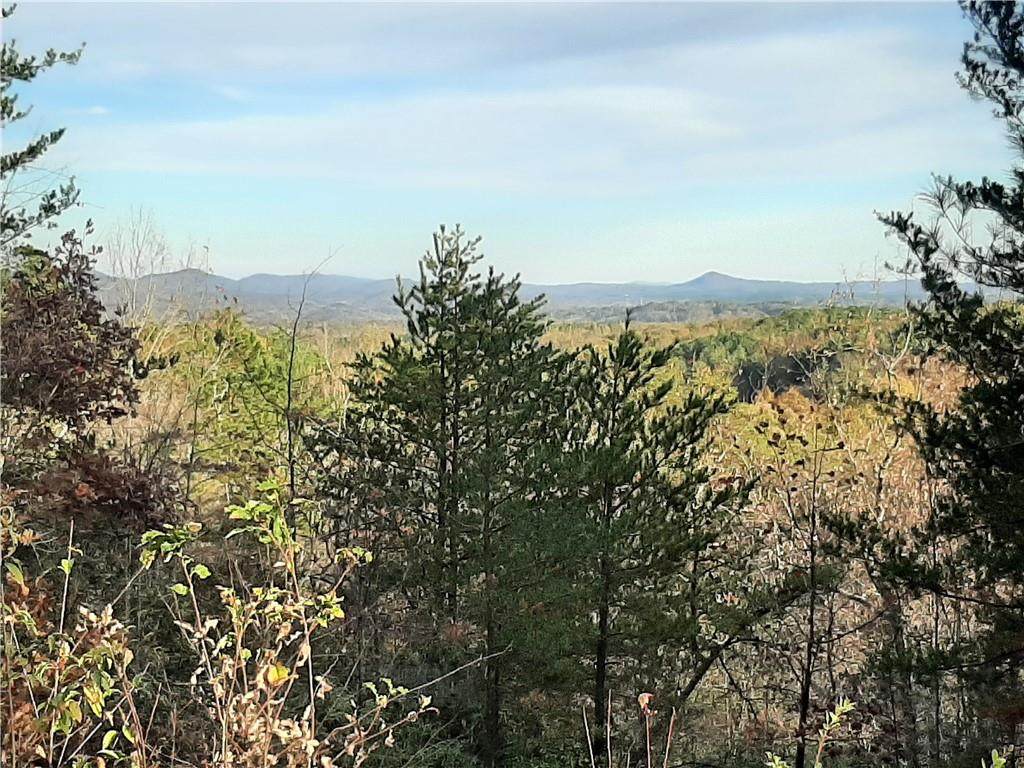 244 Jocassee Ridge Way - Photo 1