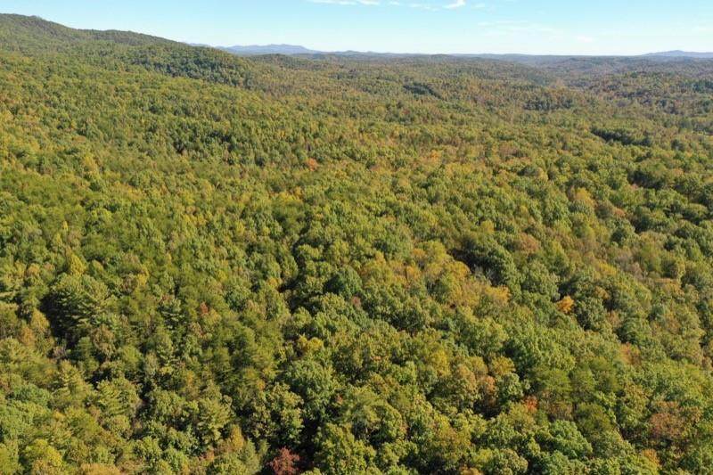 00 Forestry Road - Photo 1