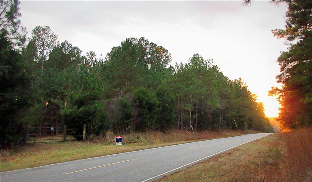 00 Lake Secession Road - Photo 1