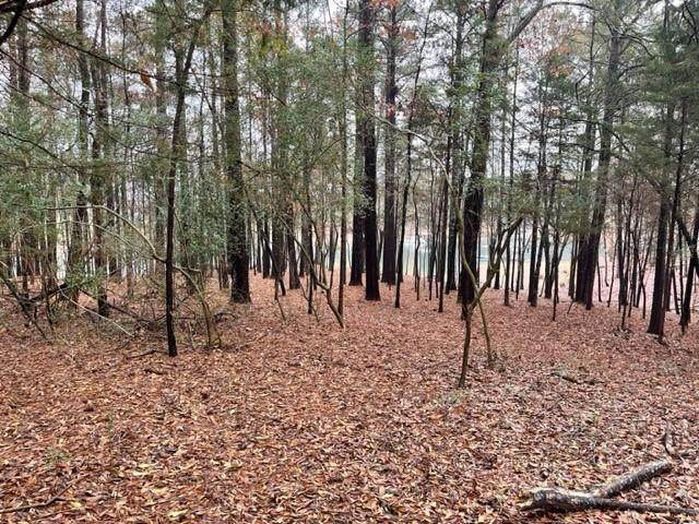 0 Lake Pointe Road - Photo 1