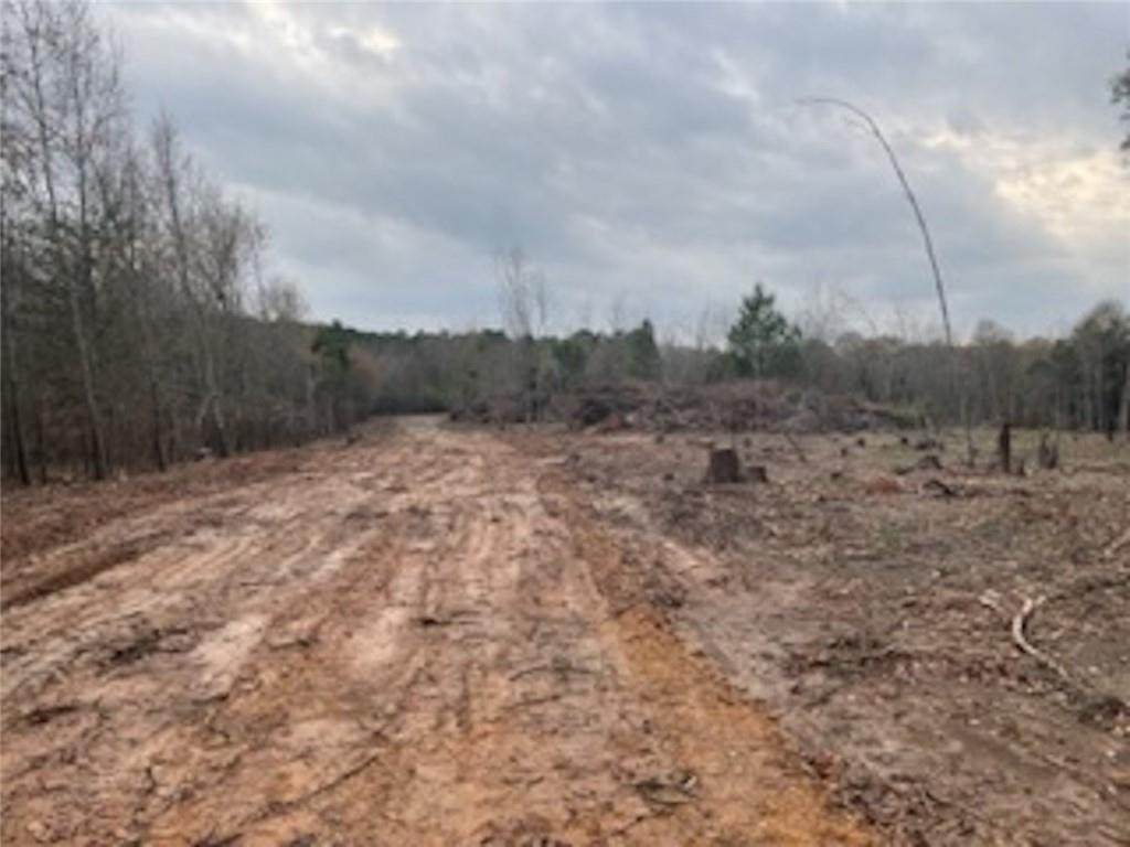 00 Moats Fowler Road - Photo 1
