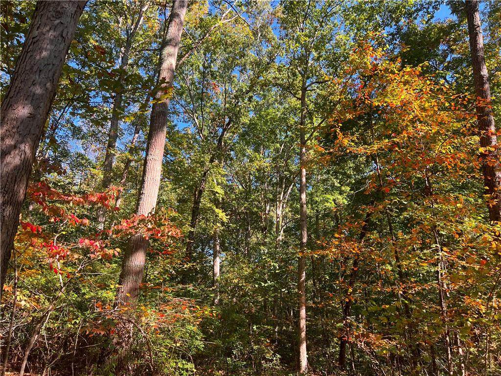 00 Campbell Road - Photo 1