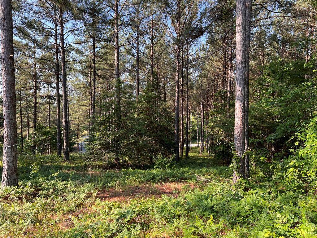 303 Knollwood Drive - Photo 1