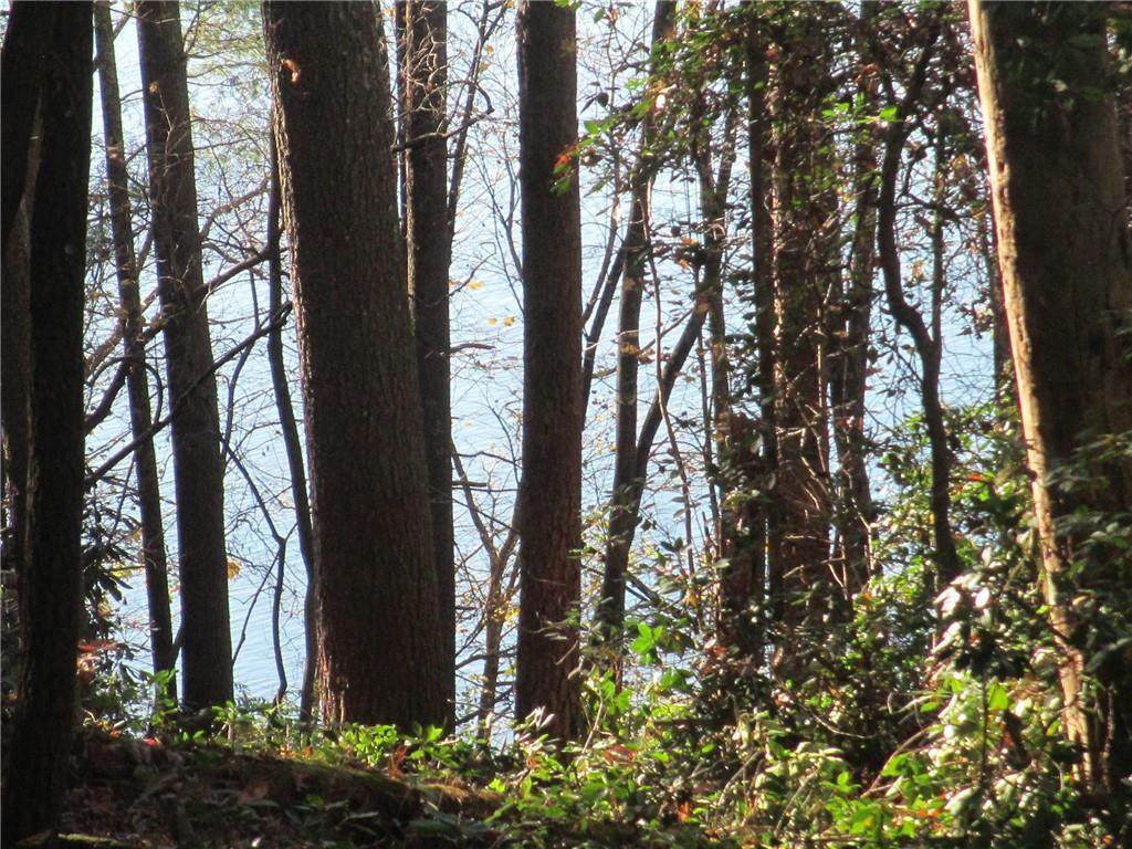 Lot 15 F Cherokee Ridge Road - Photo 1