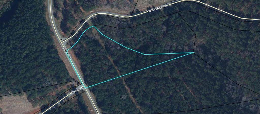 Lot 84 Mcalister Road - Photo 1