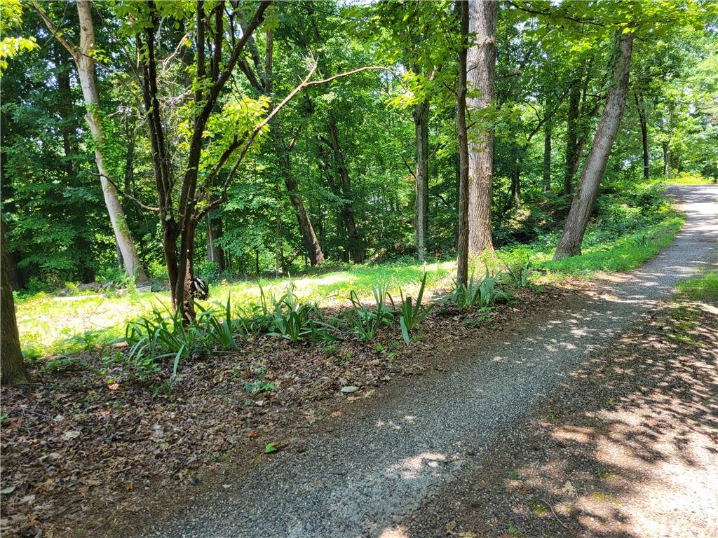 00 Fox Fire Road - Photo 1